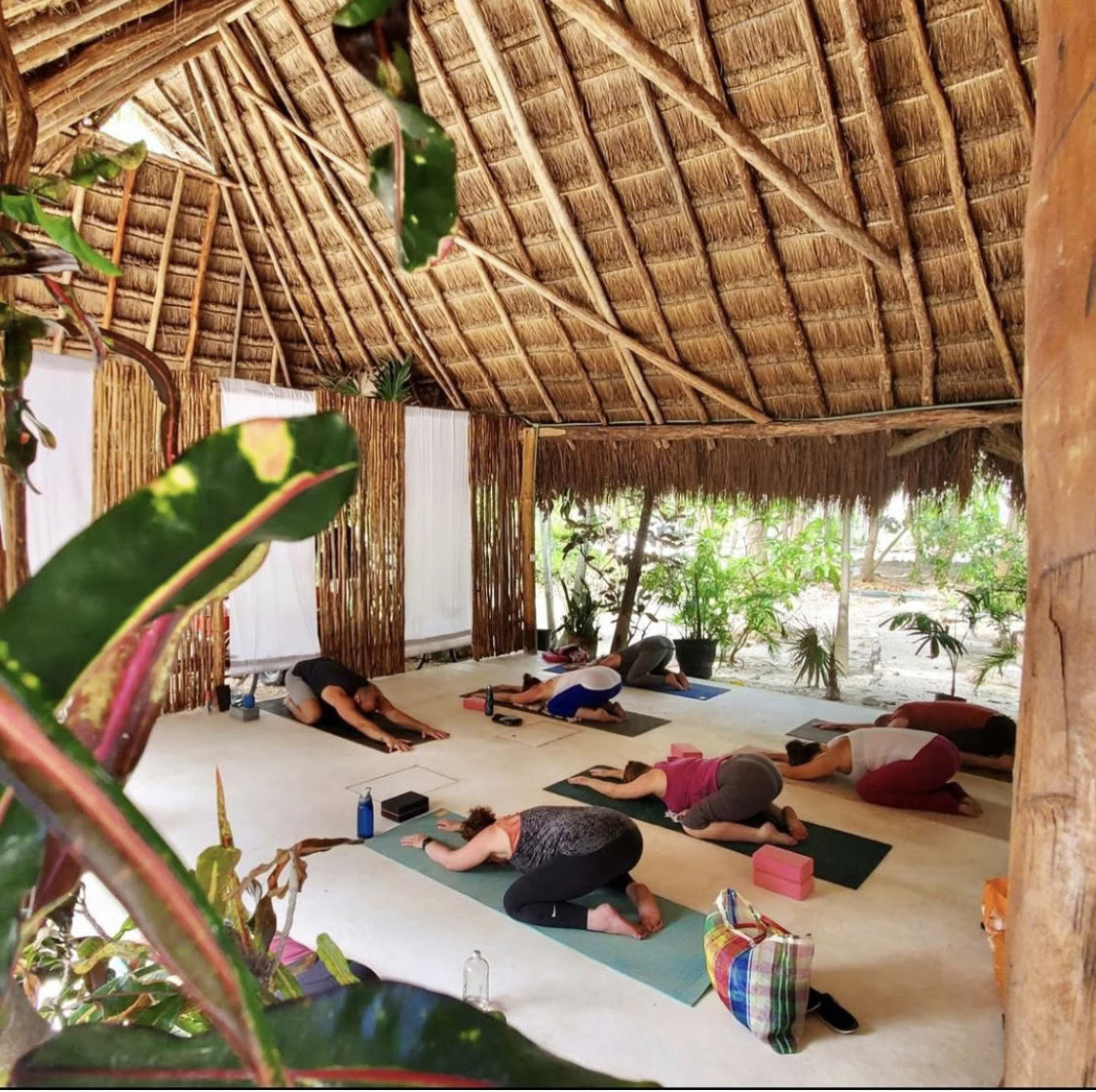 Retraite de yoga et de méditation Ocean Flow Ici et Maintenant de 7 jours