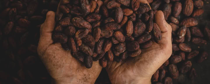Cérémonie privée du cacao