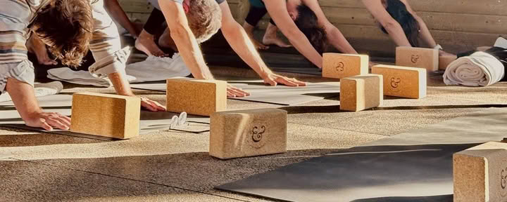Retraite de yoga pas si sérieuse