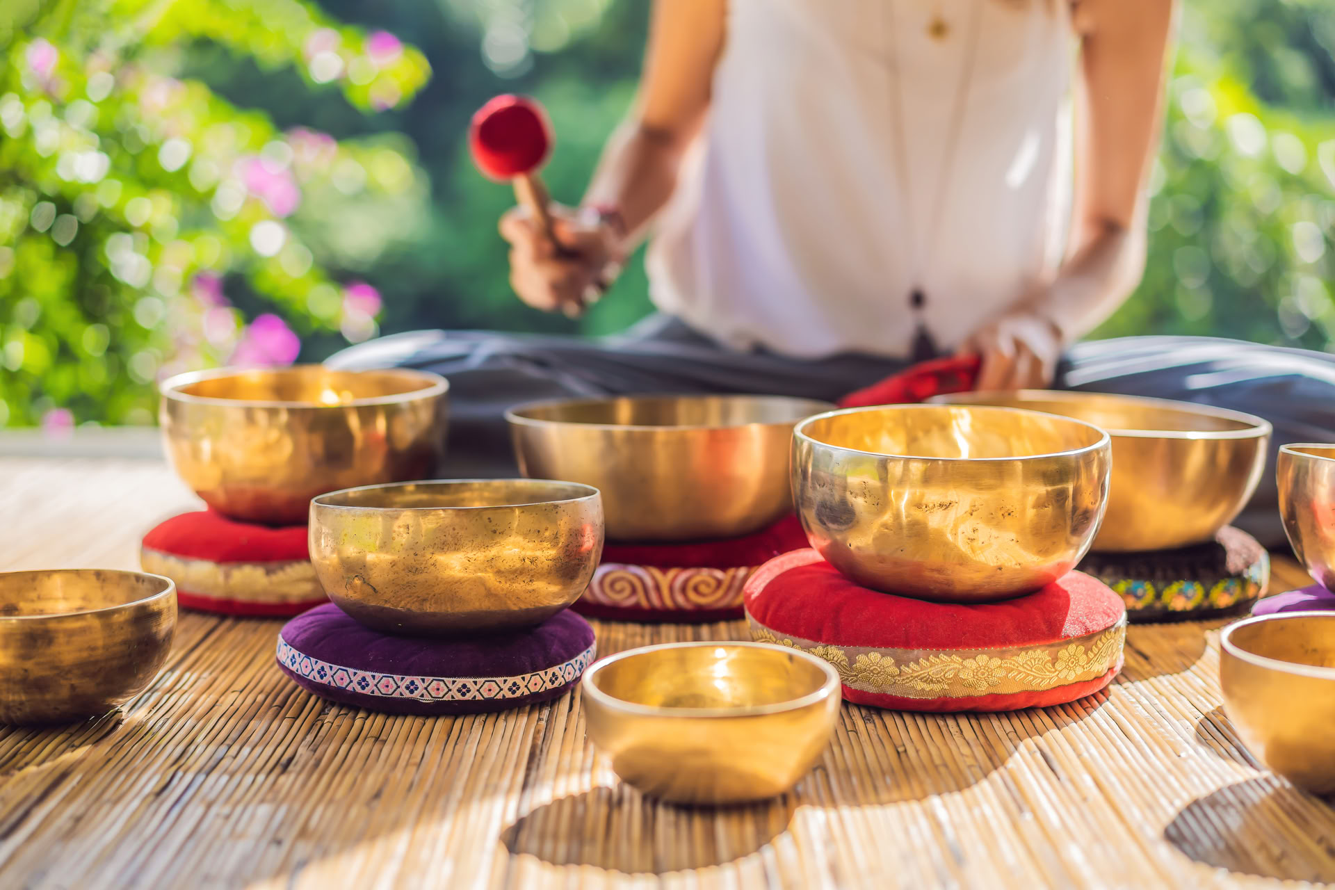 Ayahuasca & Iboga (retraite Vitalité)