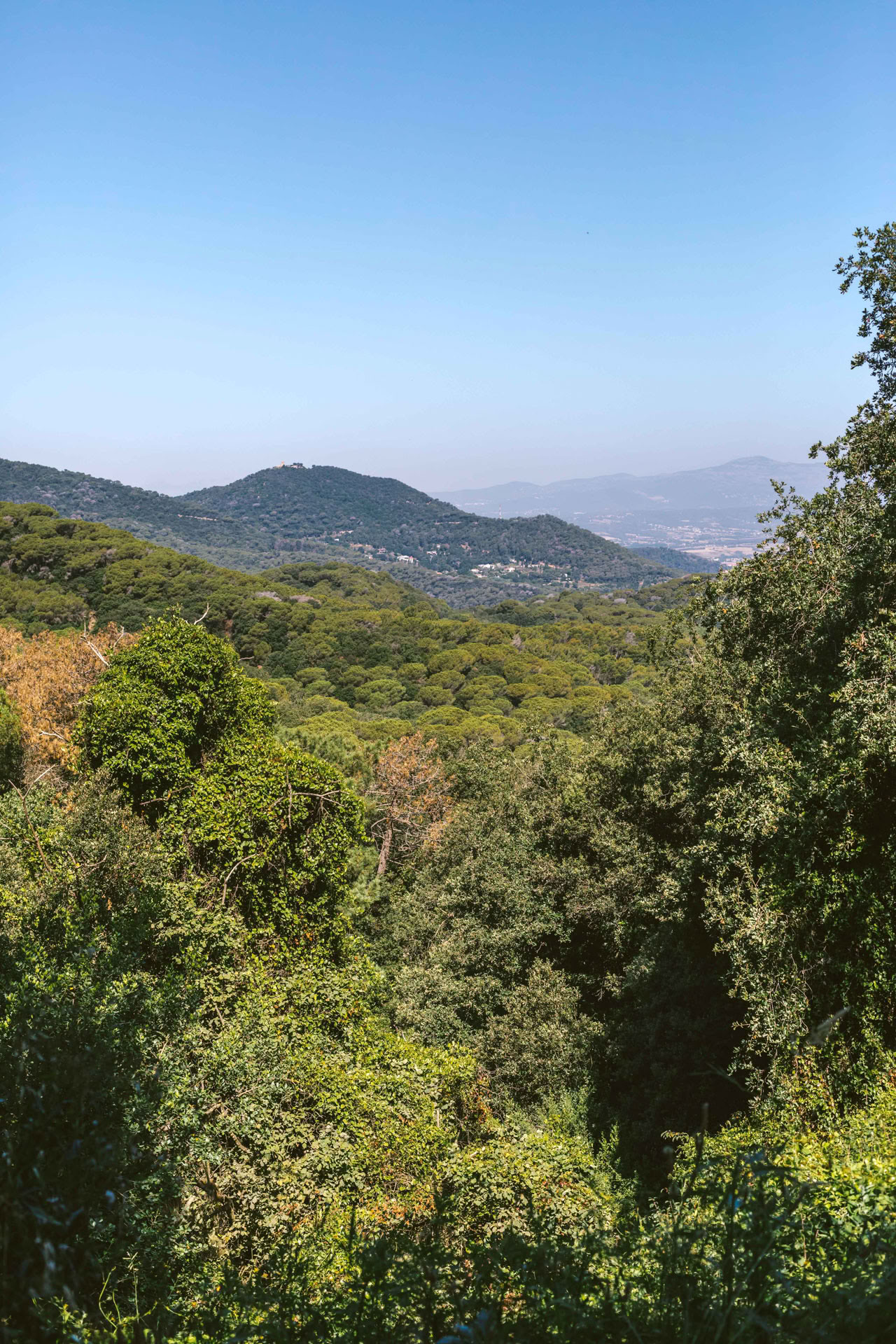Découvrir le paysage à chaque pas