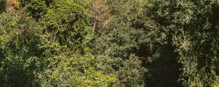 Découvrir le paysage à chaque pas