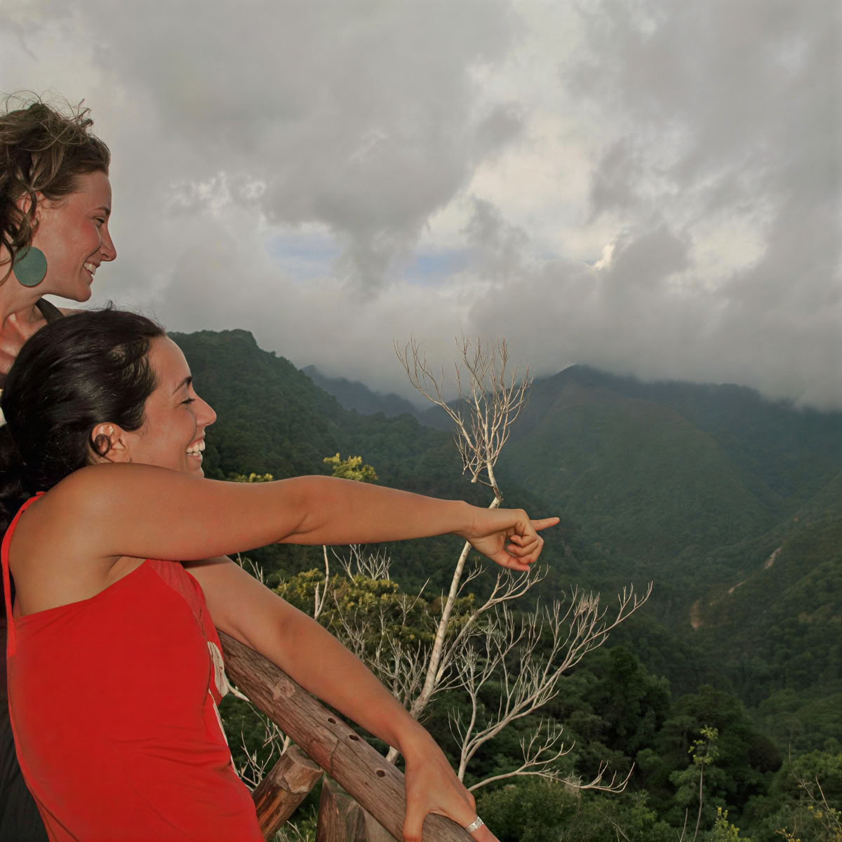 Pleine conscience et yoga dans la nature