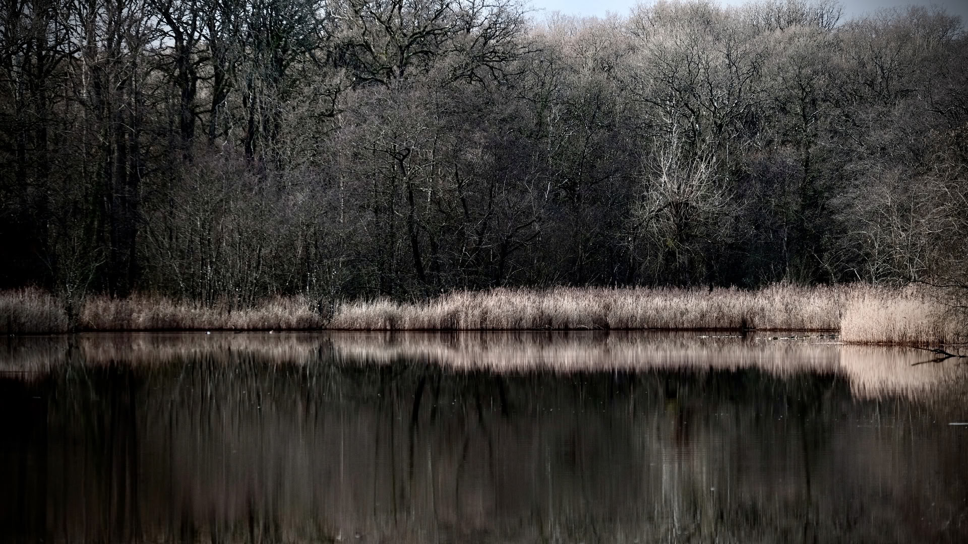 Week-end sauvage – Bien vivre l’hiver