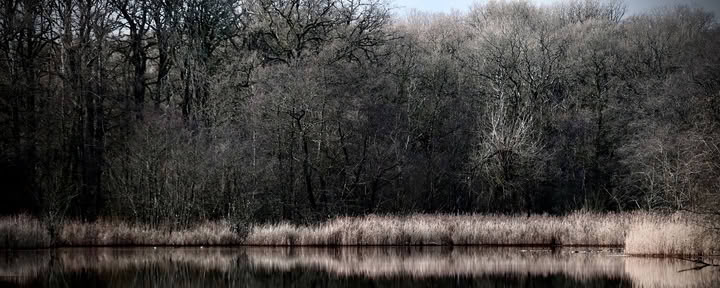 Week-end sauvage – Bien vivre l’hiver