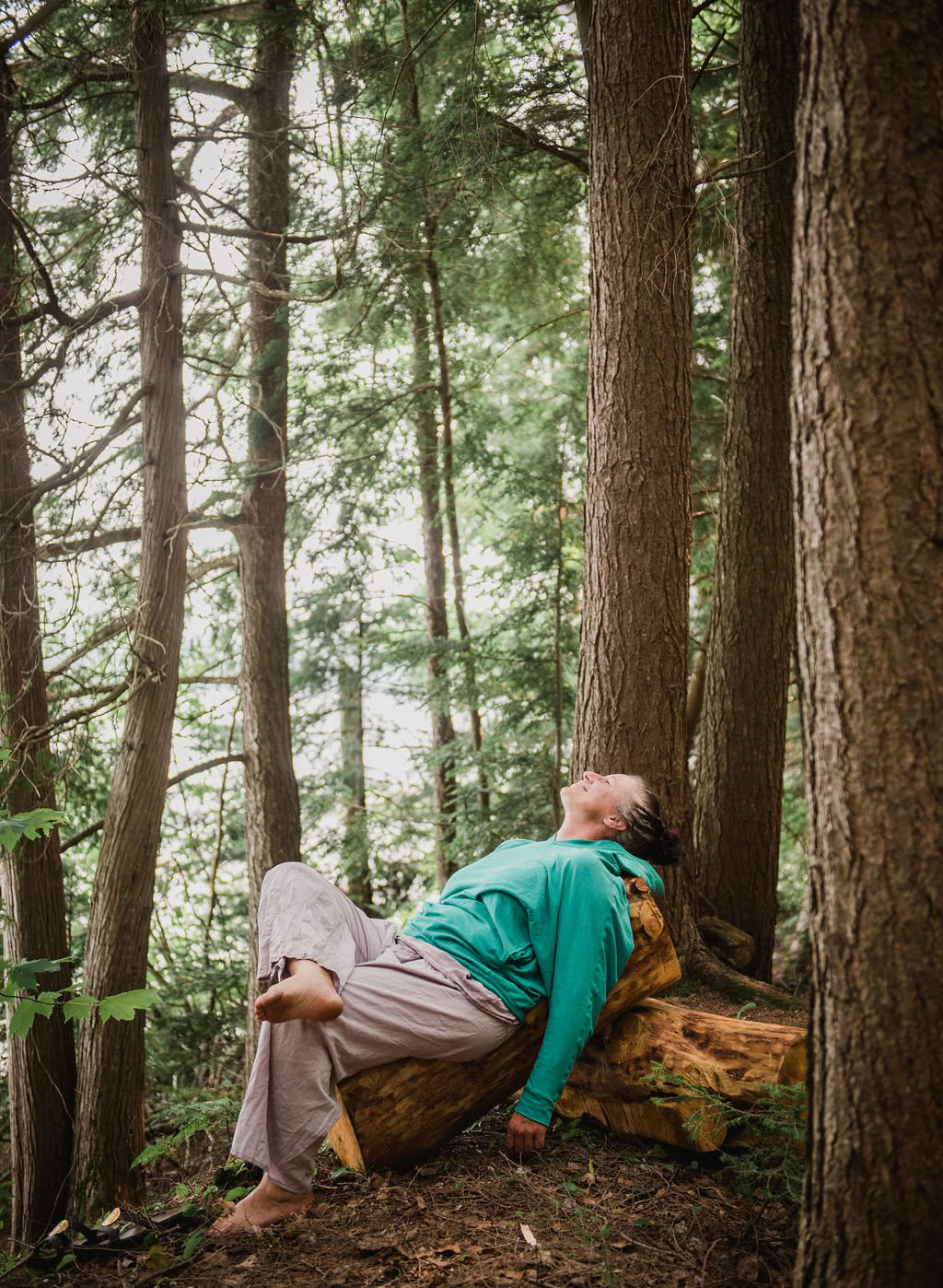Se connecter au sauvage retraite