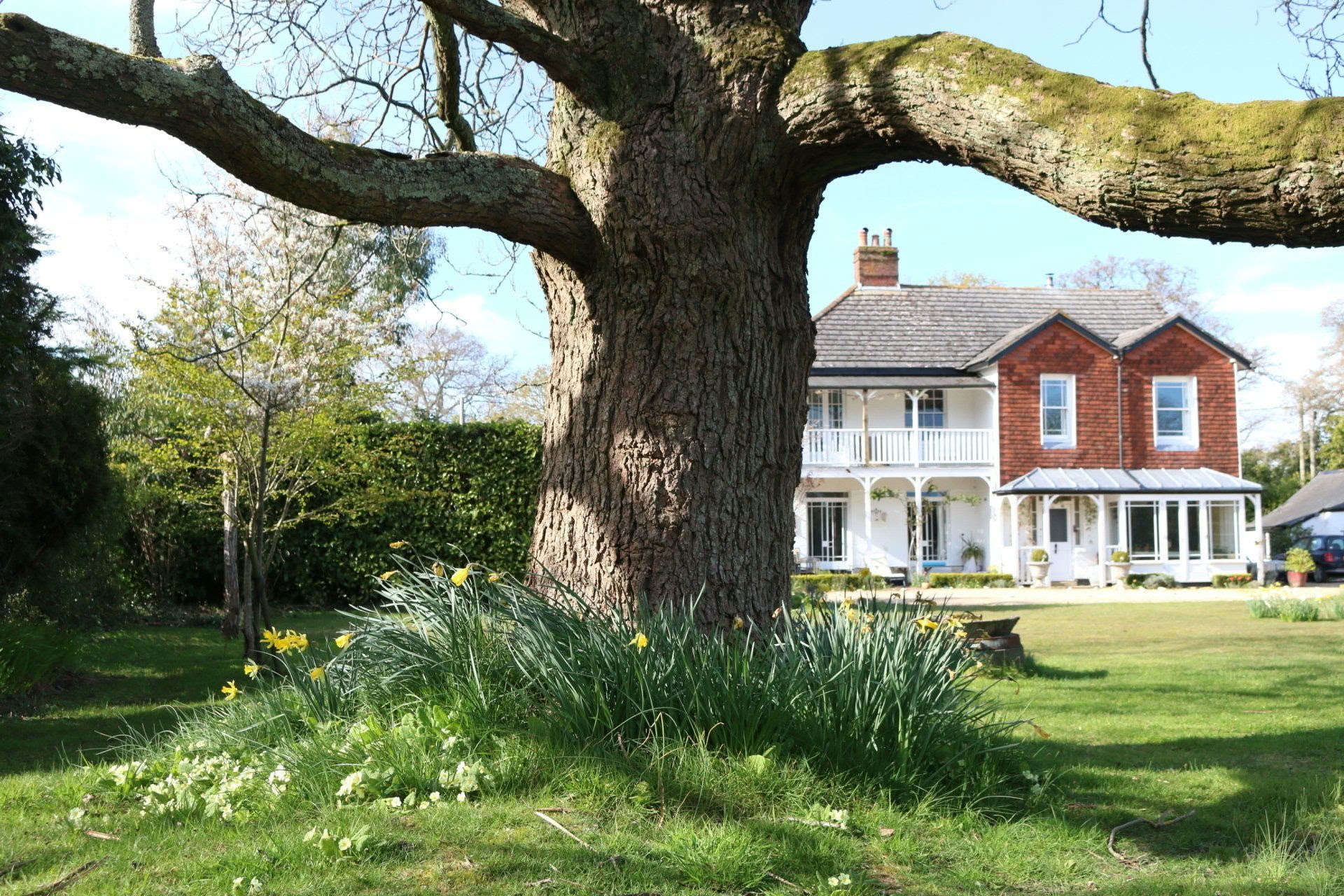 Retraite de yoga, de marche et de poterie dans la New Forest, Hampshire