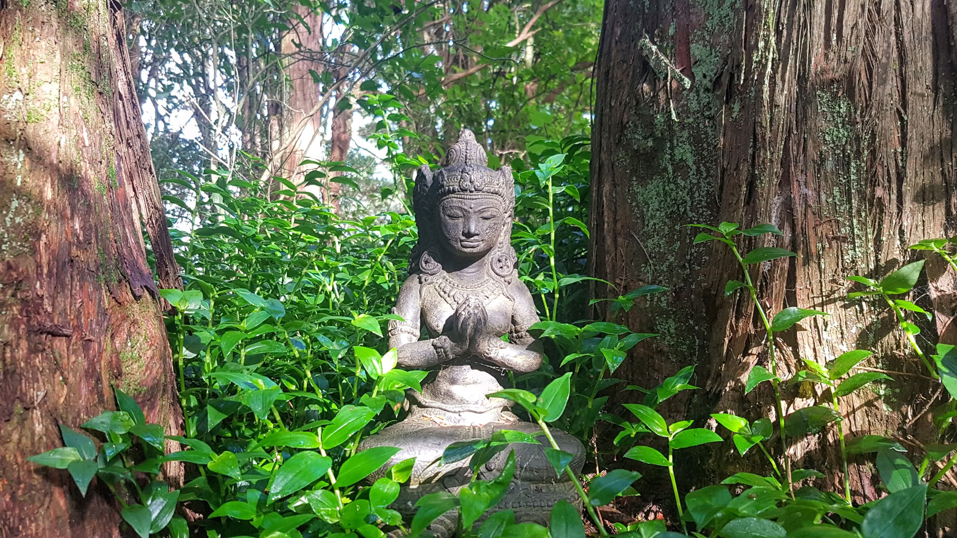 23-30 sept. Retraite silencieuse avec Radha de Heart Awakening