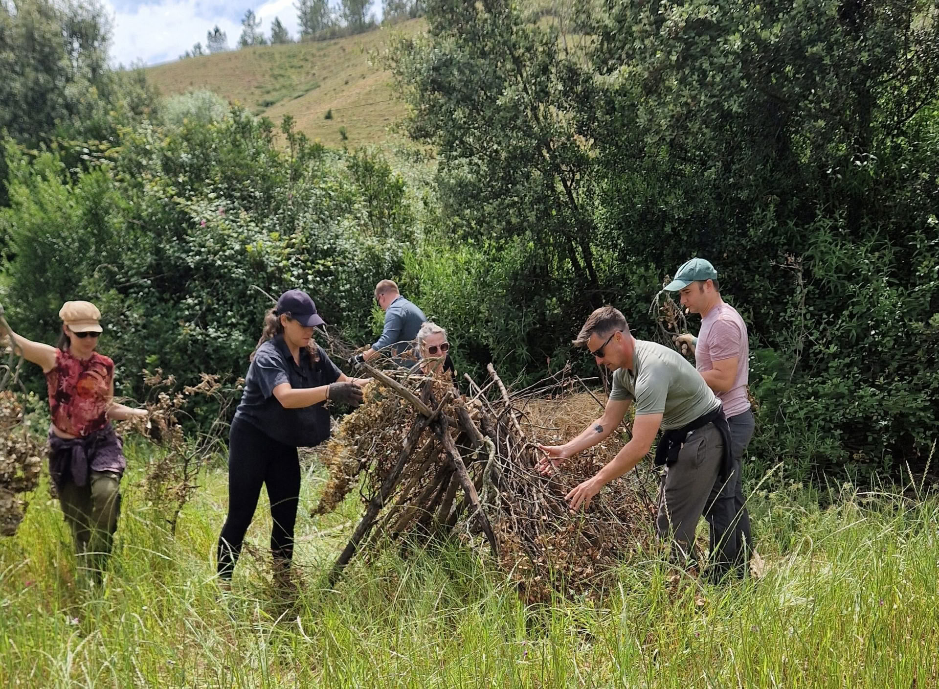 Survie essentielle en milieu sauvage