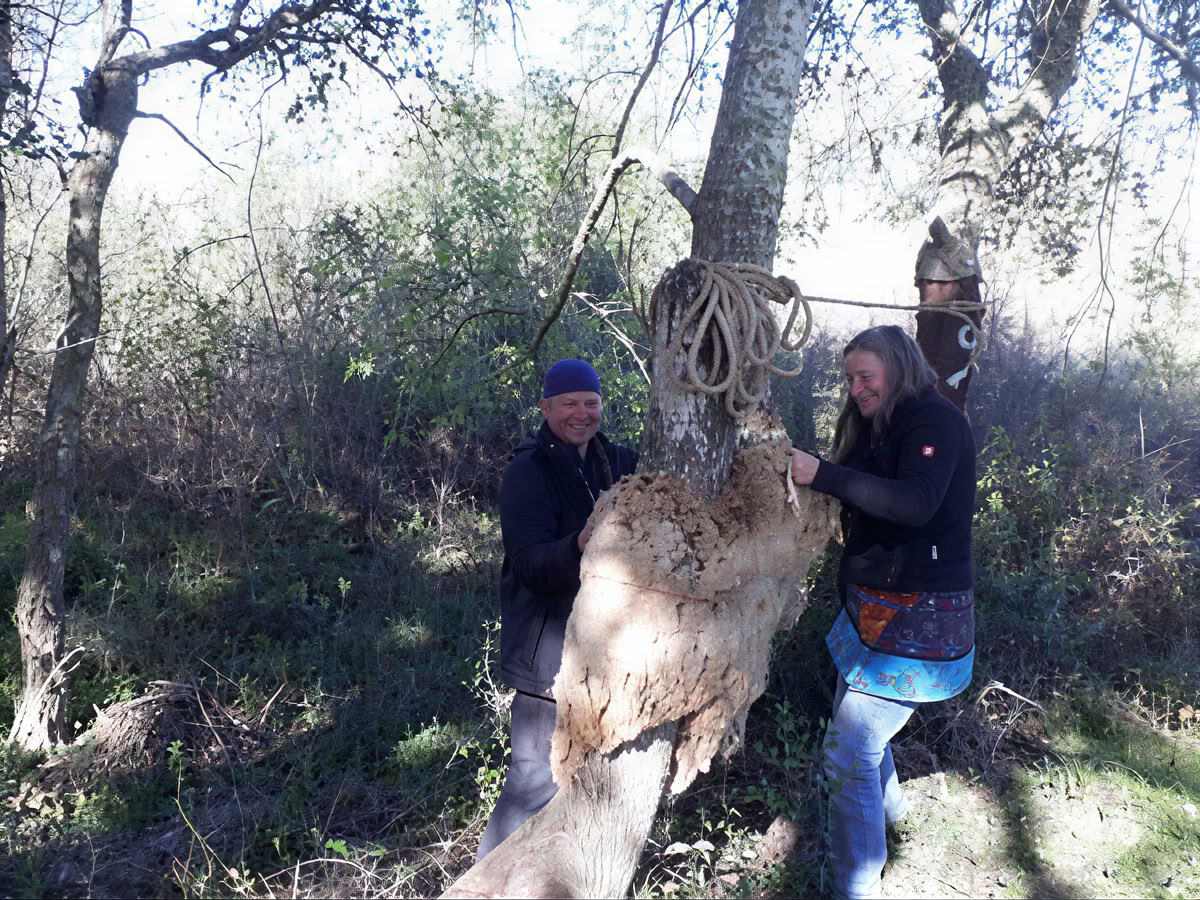 Survie essentielle en milieu sauvage