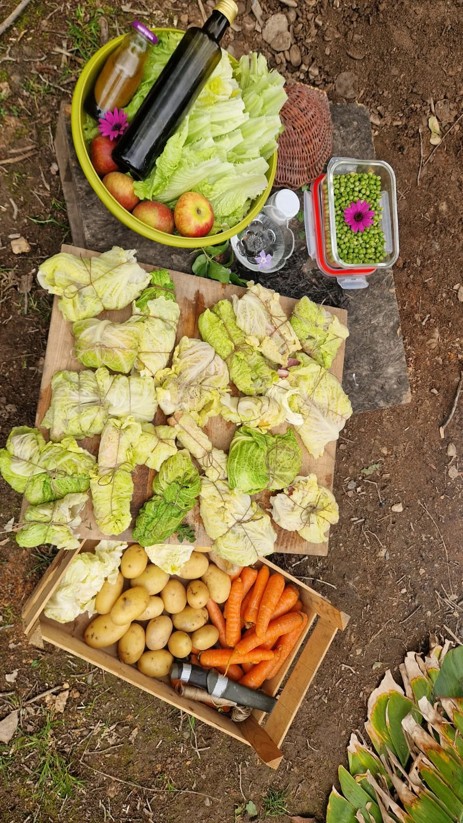 Cuisine en plein air