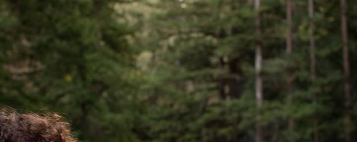 Séjour du programme de nuit : changez la santé de votre cœur