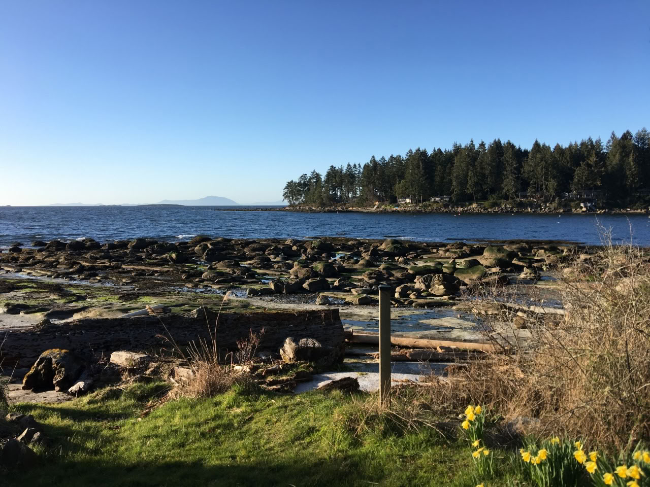 The Haven