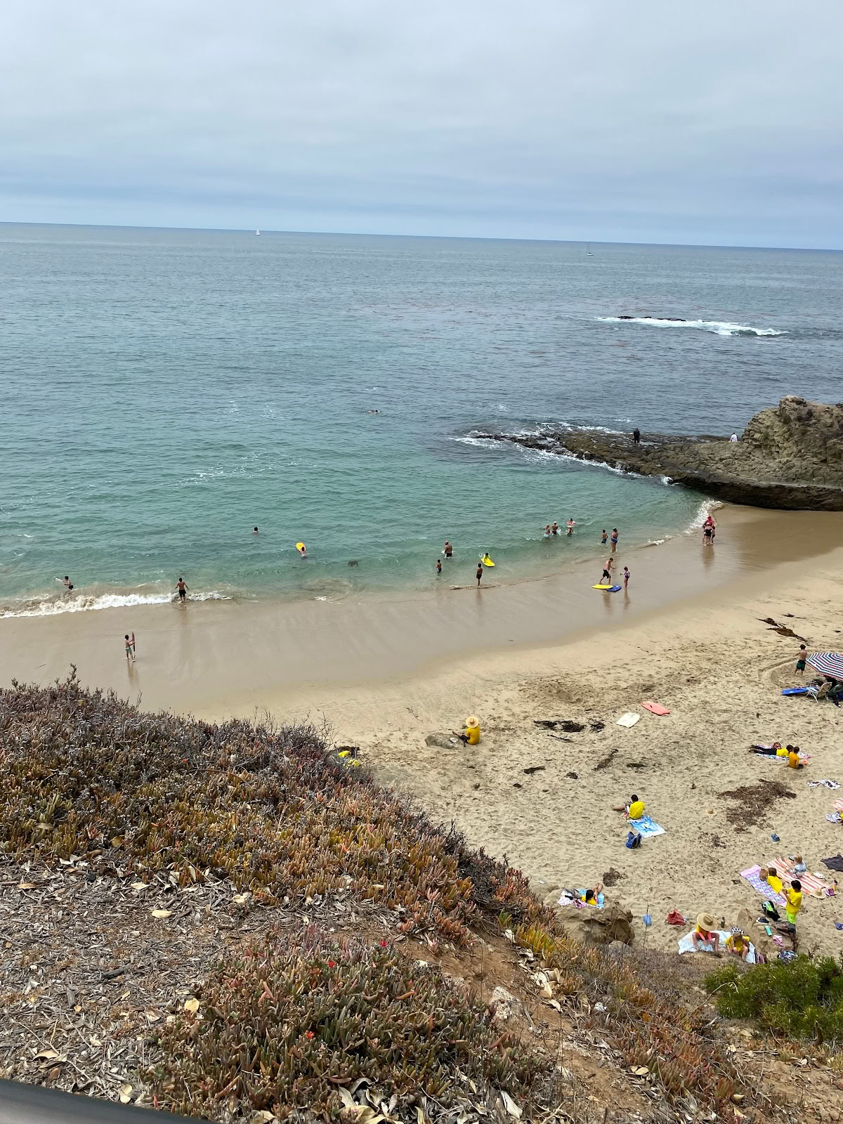 J’aime Laguna Tours & Events
