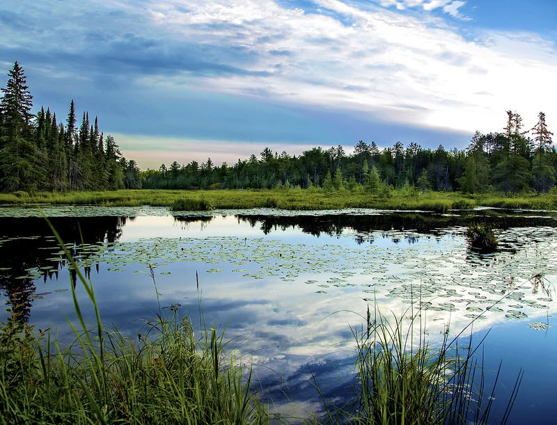 Le Centre Dharma du Canada