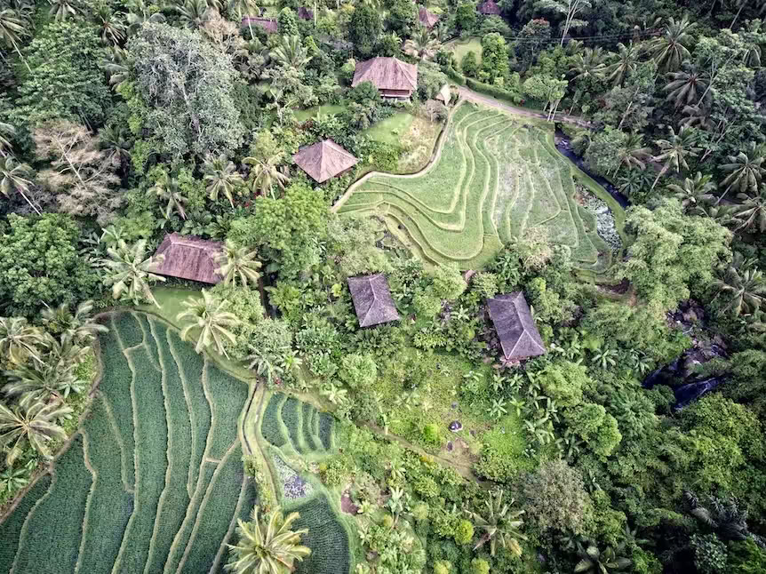 Purna Yoga Bali | Retraites et formations de yoga Ashtanga