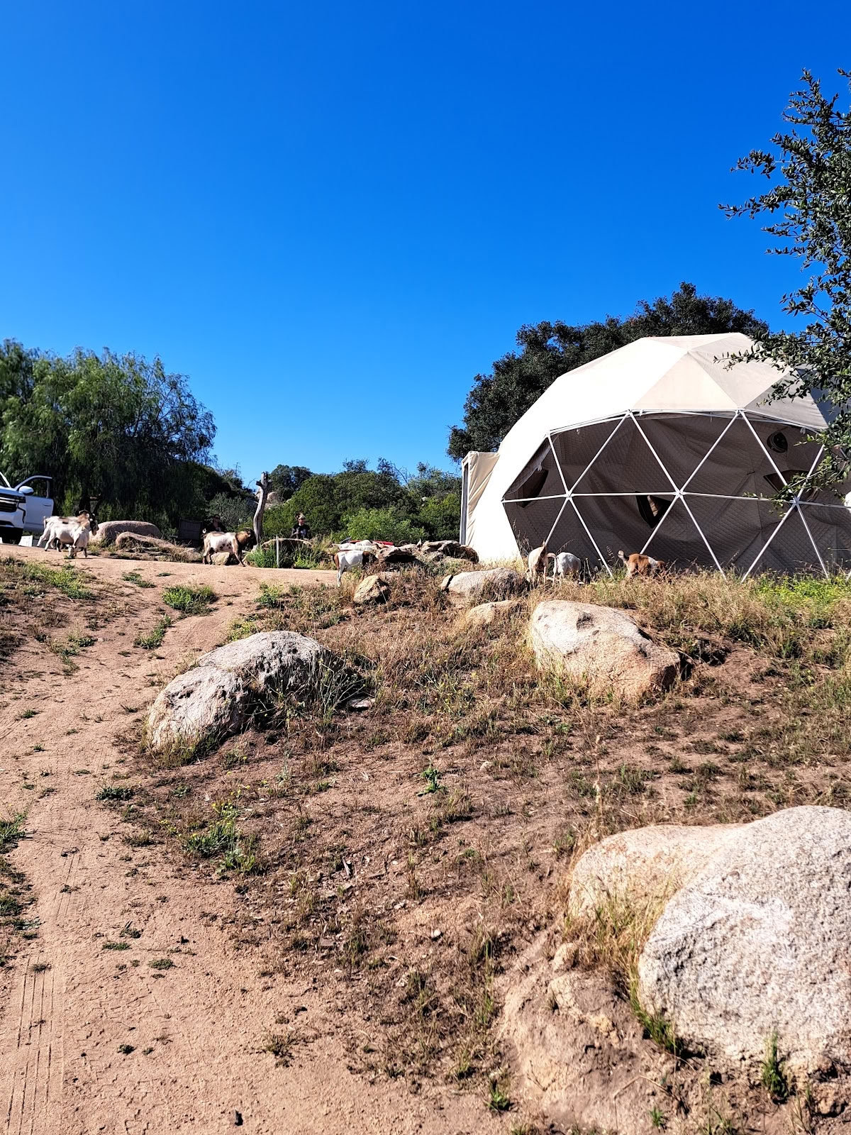 Splitrock Farm et retraite