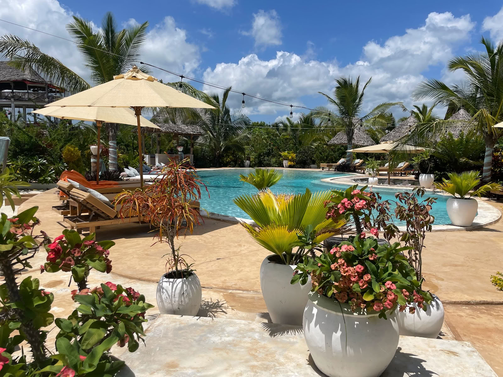 Zen Boutique Retraite & Resort