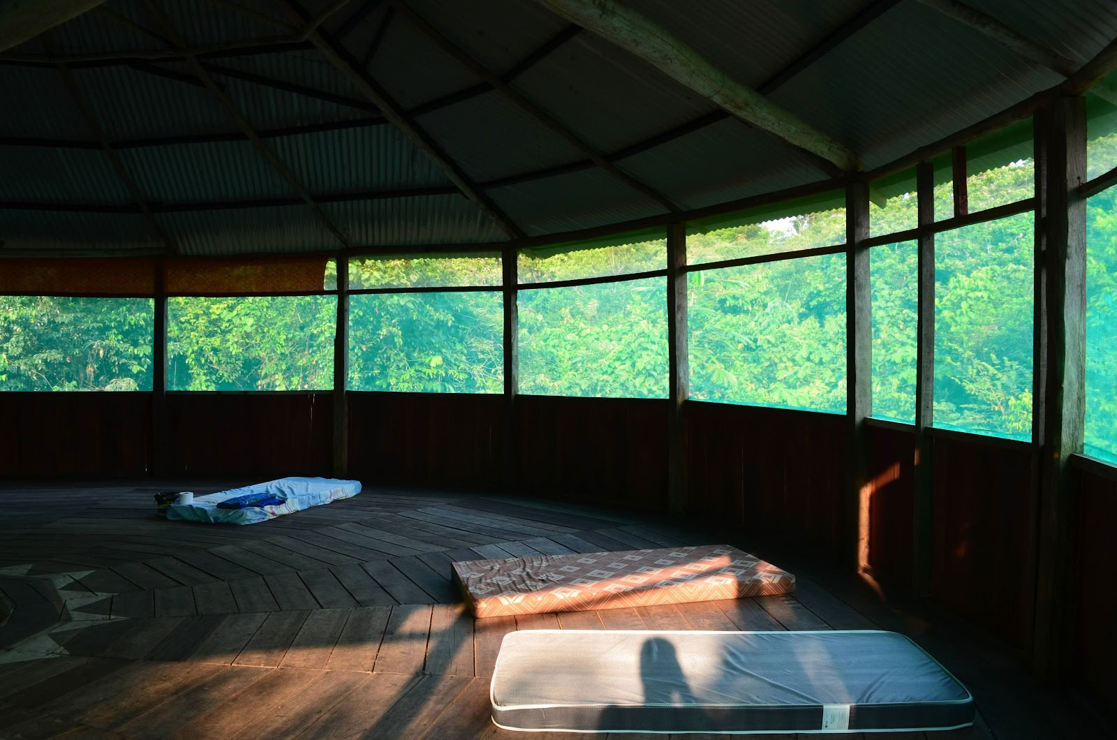 Official, Selva Madre Ayahuasca Retraite Iquitos Peru
