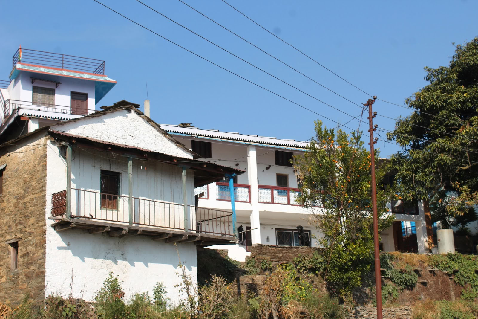 Swami Rama Initiative
