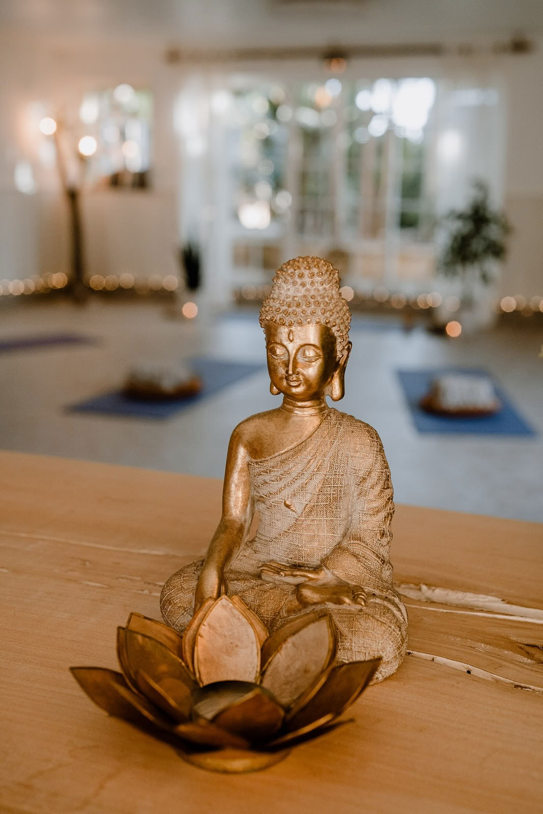 Transform to Bliss Yoga, Espace Événementiel & Bien-être - Lagos, Algarve