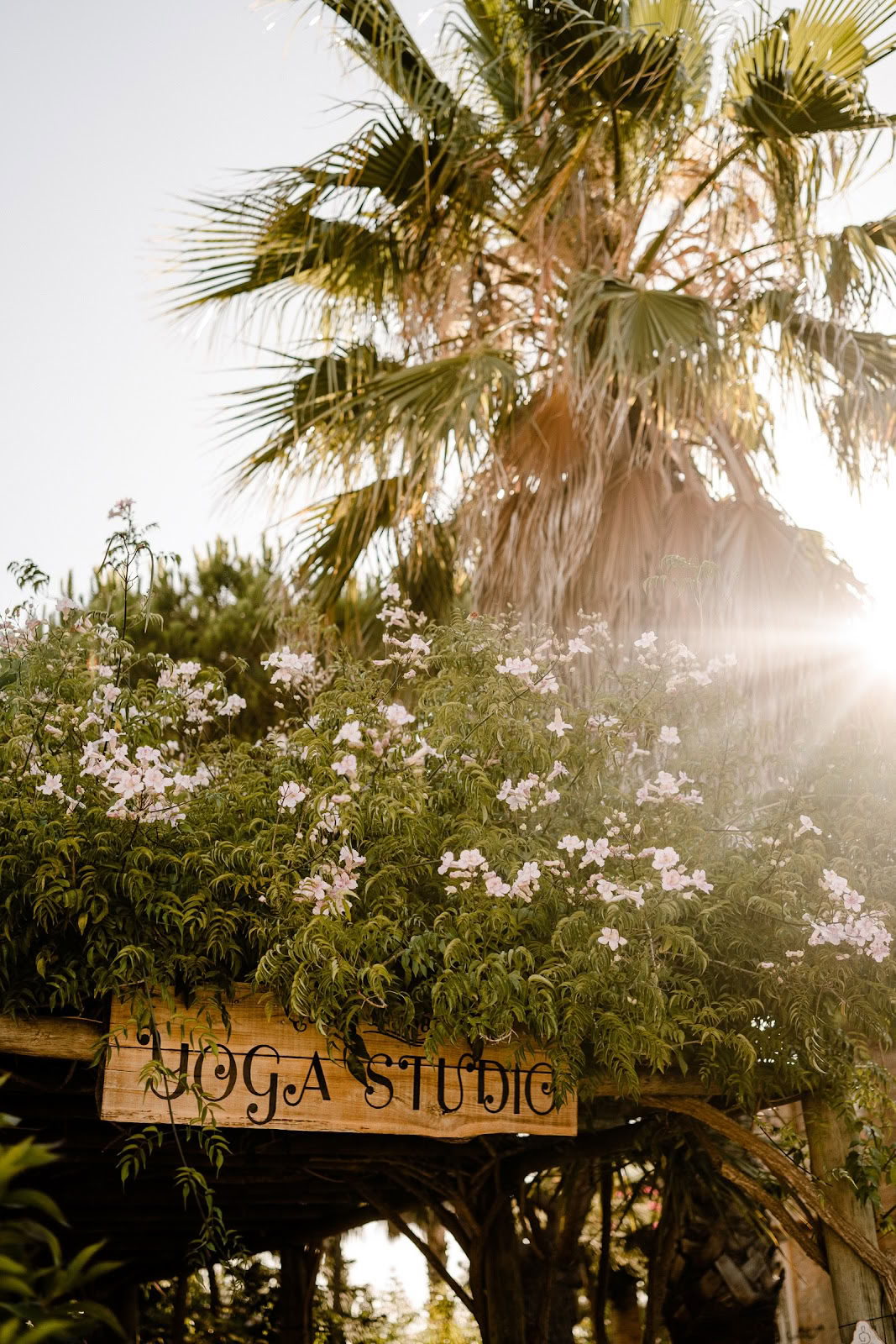Transform to Bliss Yoga, Espace Événementiel & Bien-être - Lagos, Algarve