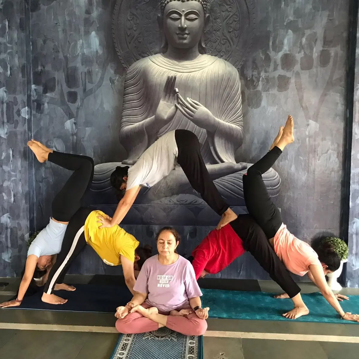 Sunshine yoga /Meilleurs cours de yoga à Amritsar /Cours de yoga à Amritsar /Yoga à Amritsar