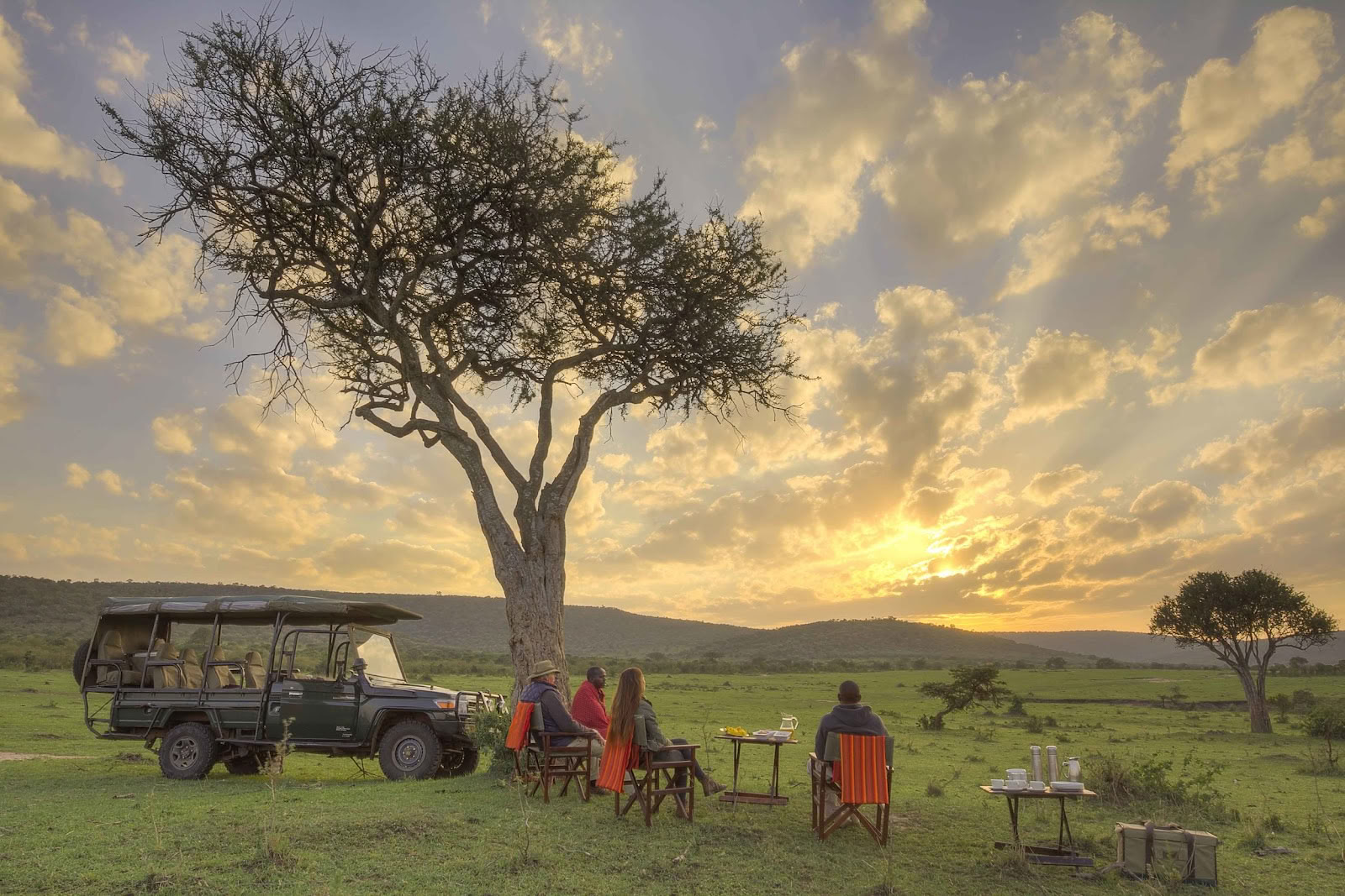 Safari et Yoga