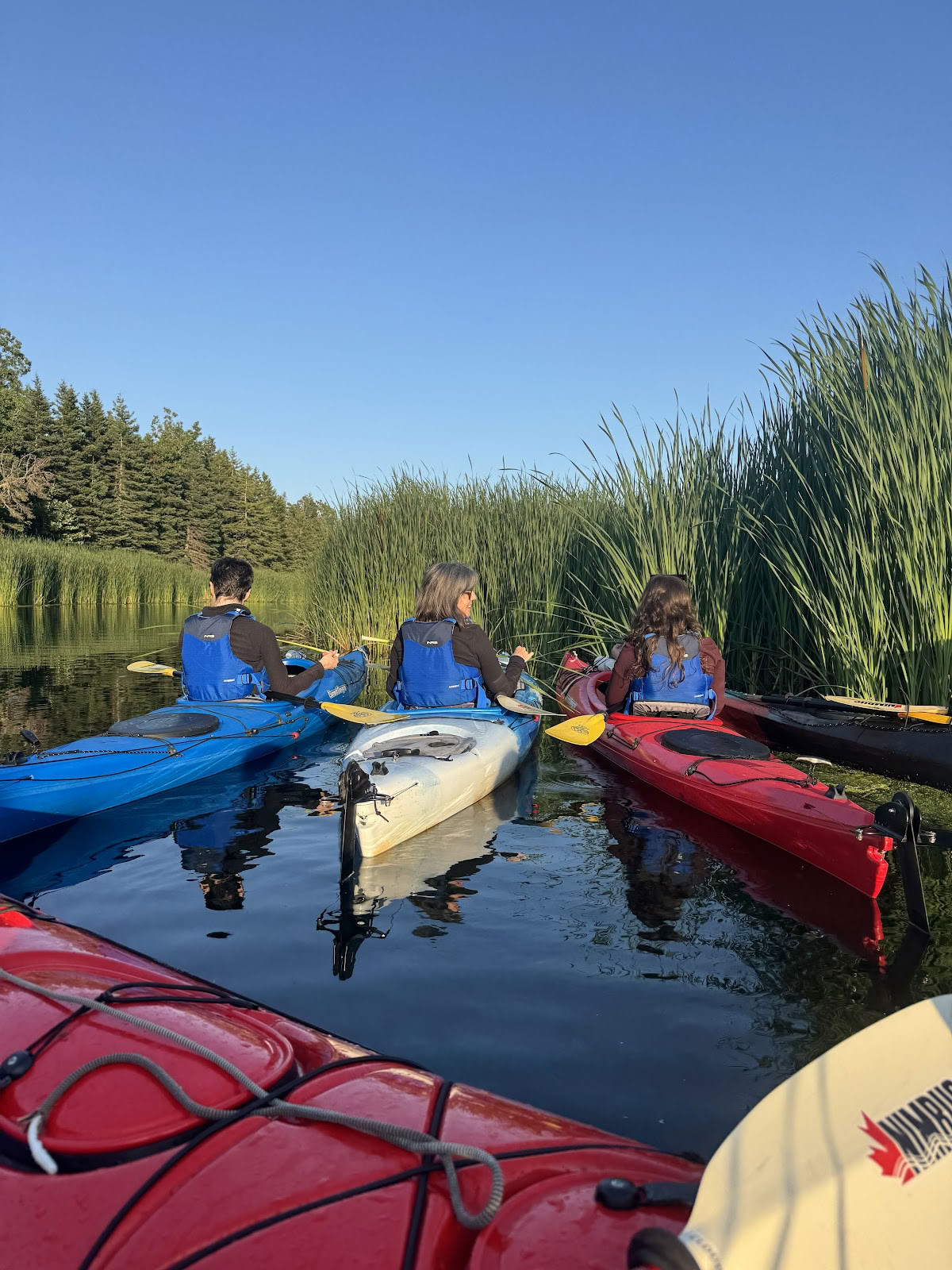 Complexe Nature Space & Centre de retraite