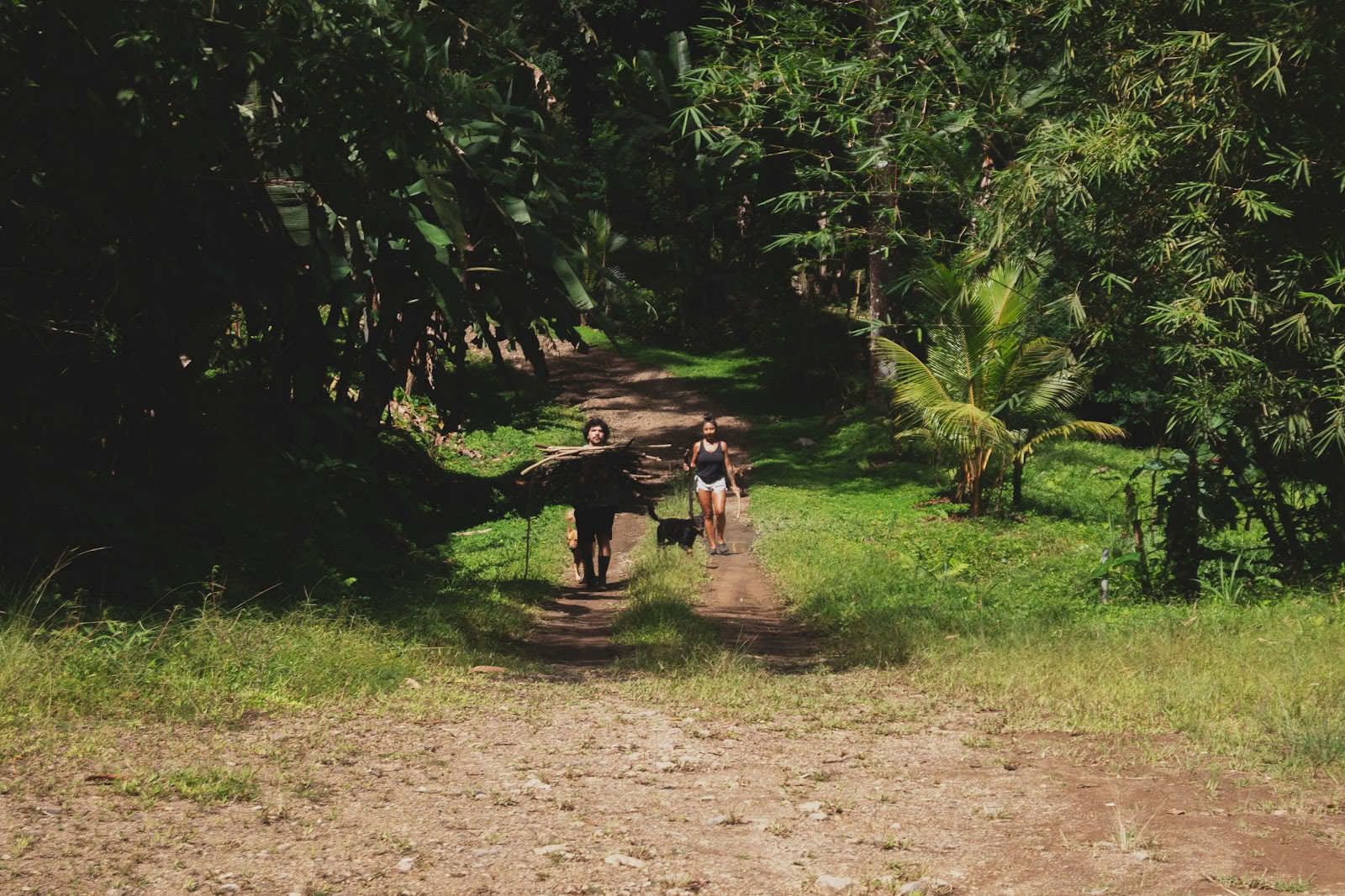 Finca Shambhala Biologique