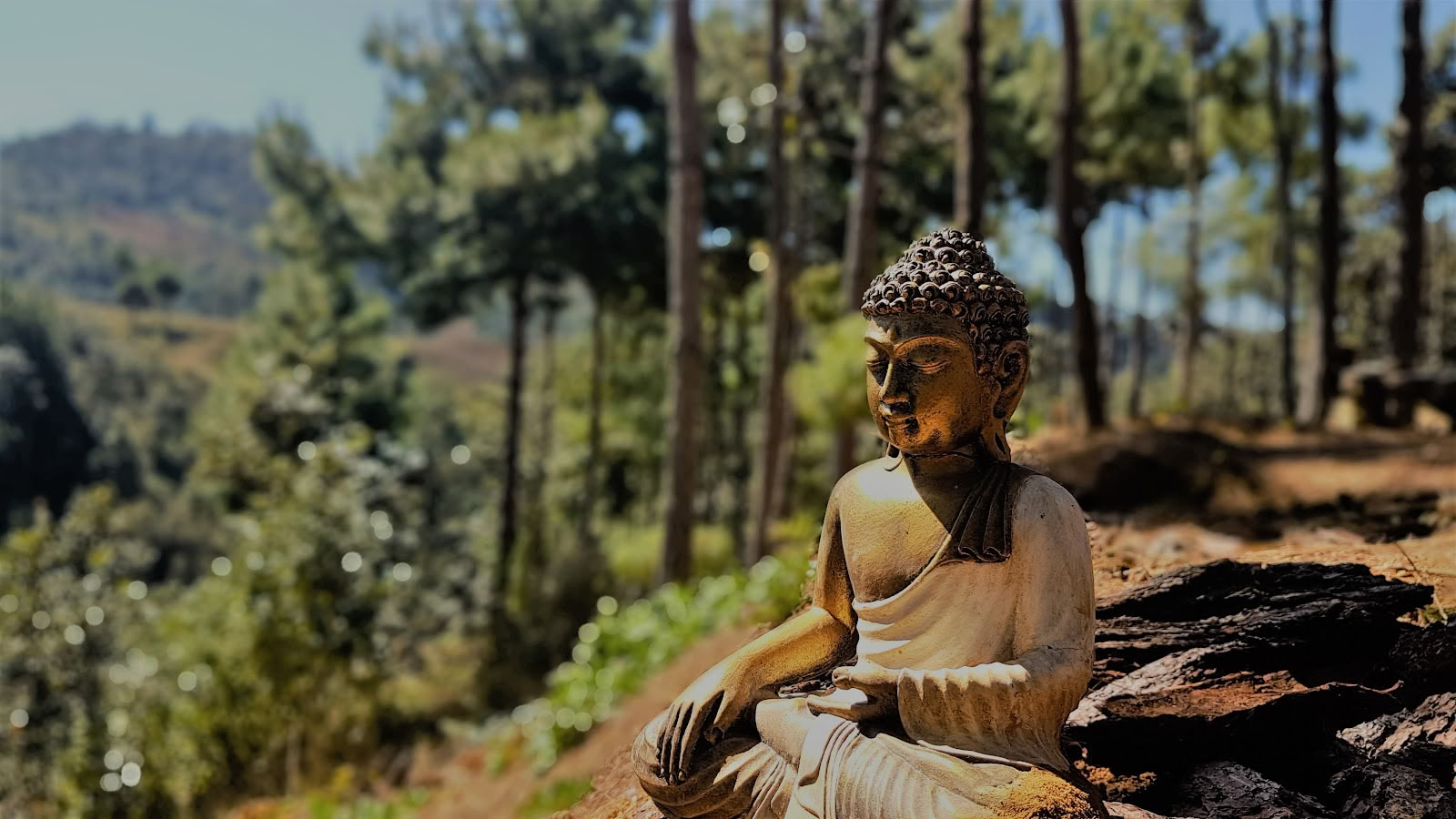 Centre de retraite de méditation et de yoga Hridaya pour la famille
