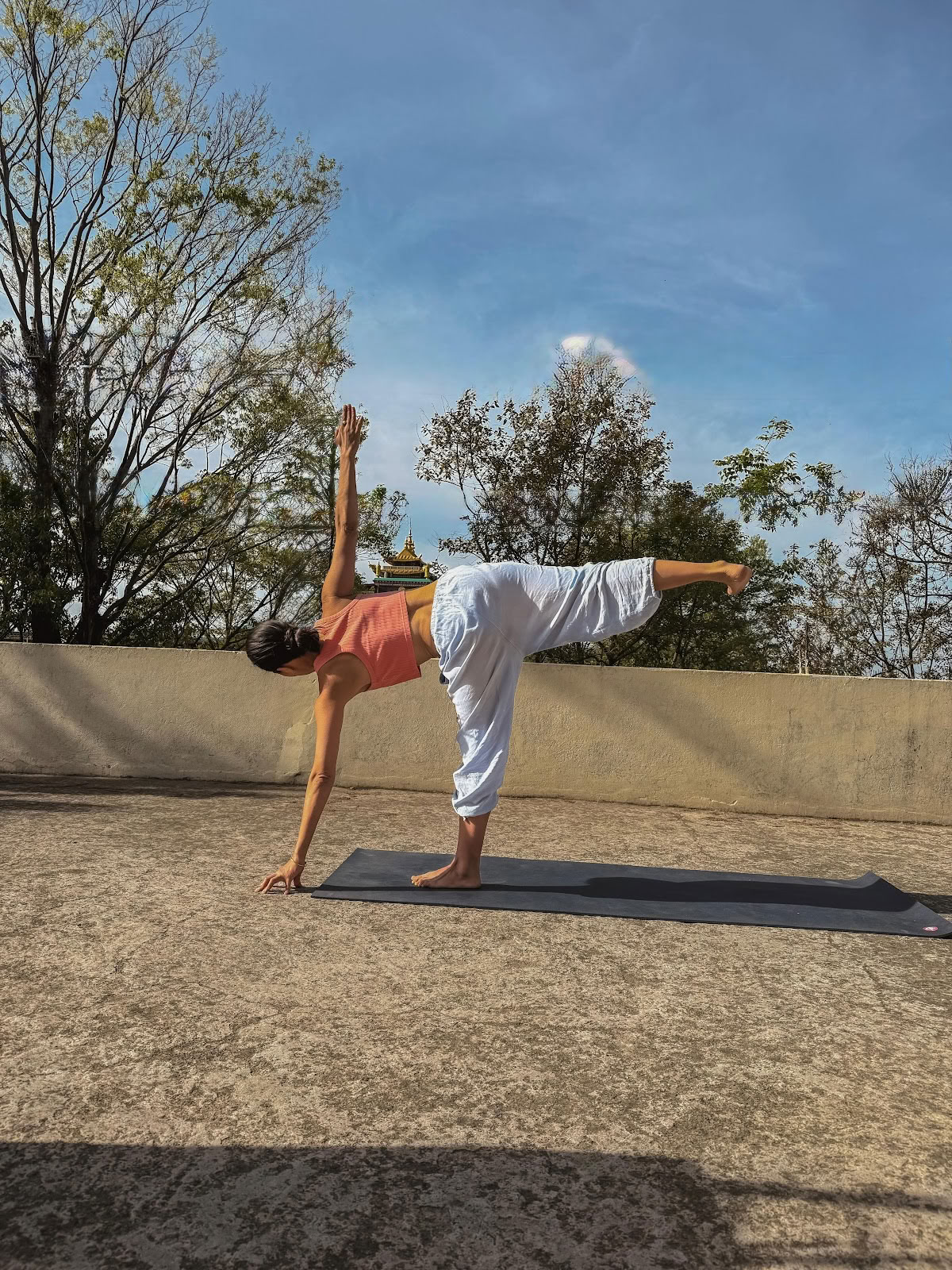 Maison de Yoga Bir
