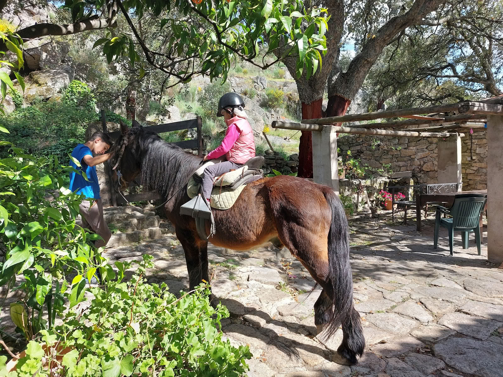 Chevaux de Marvão