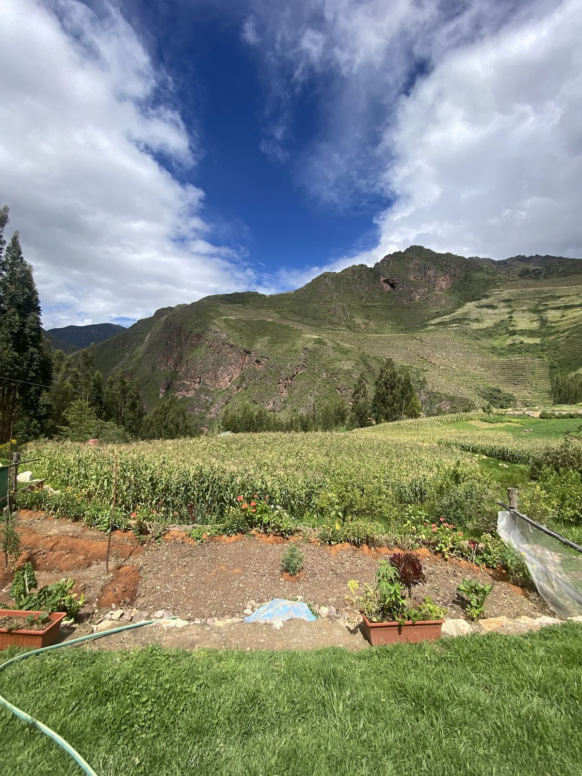 Centre spirituel d’ayahuasca de Cusco