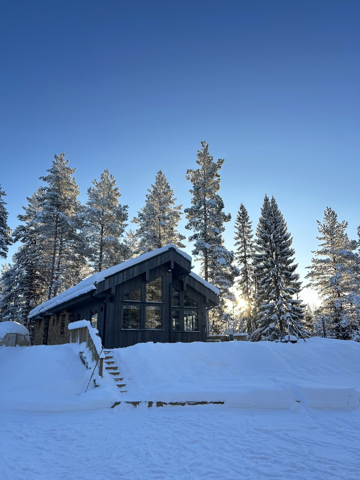 Retraite en forêt
