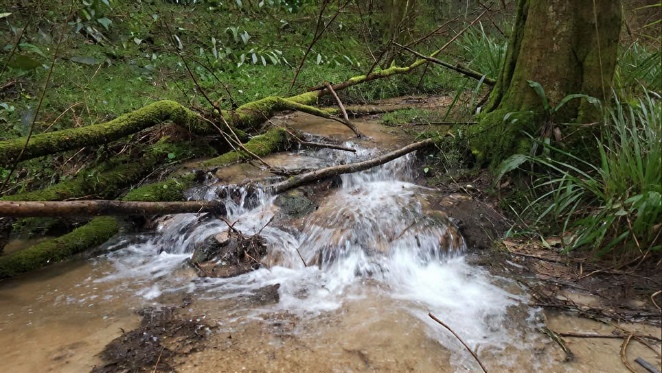 Retraites et spa nature SoulSimple Cotswolds