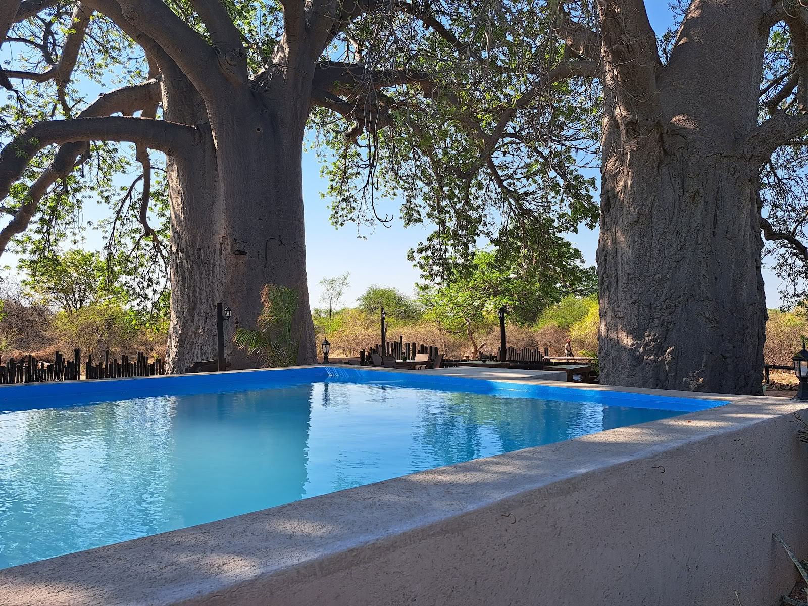 Lodge Lifestyle Hambana