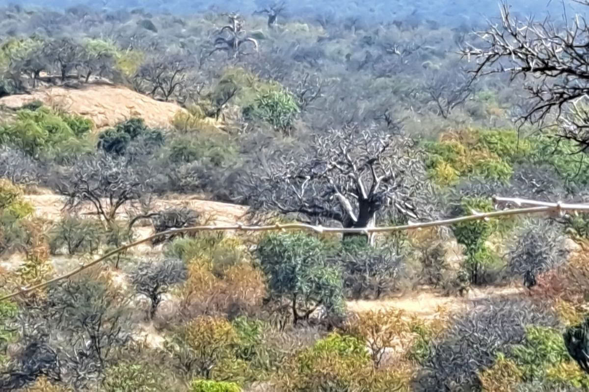 Lodge Lifestyle Hambana