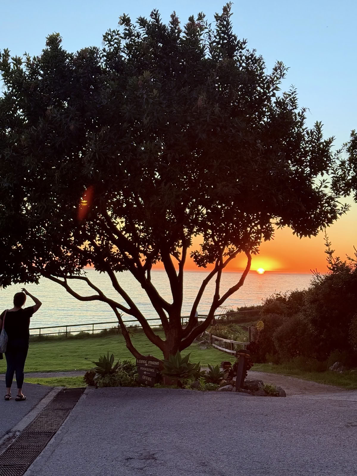 Les Bains, Esalen