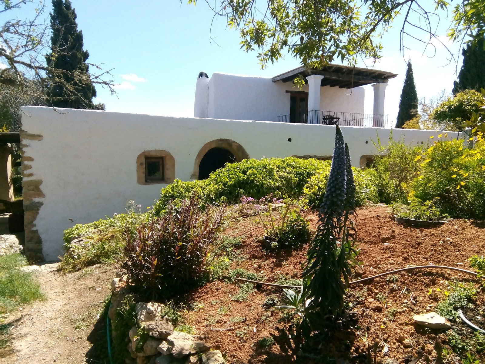 Arts en mouvement à Ibiza