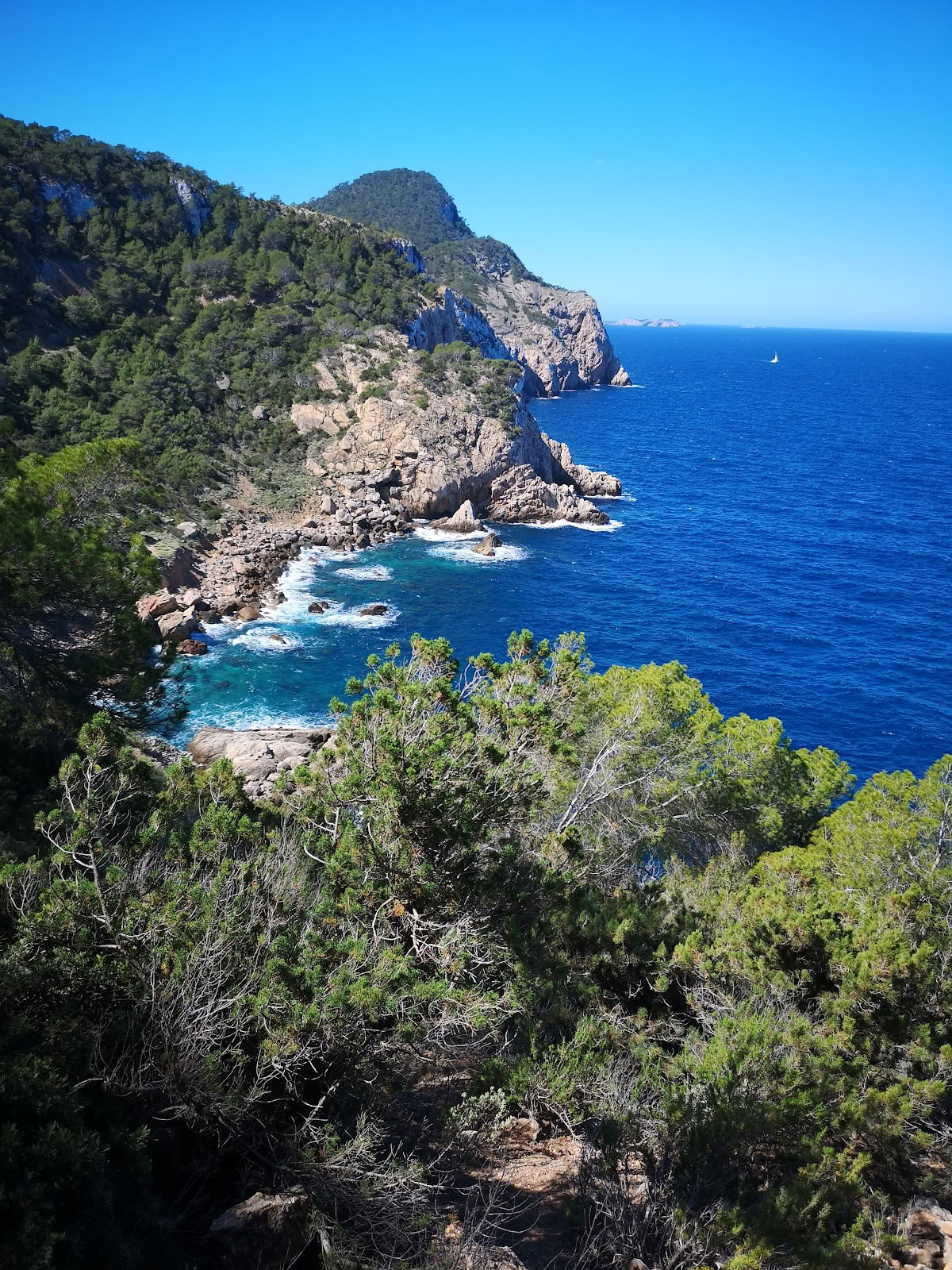 Arts en mouvement à Ibiza