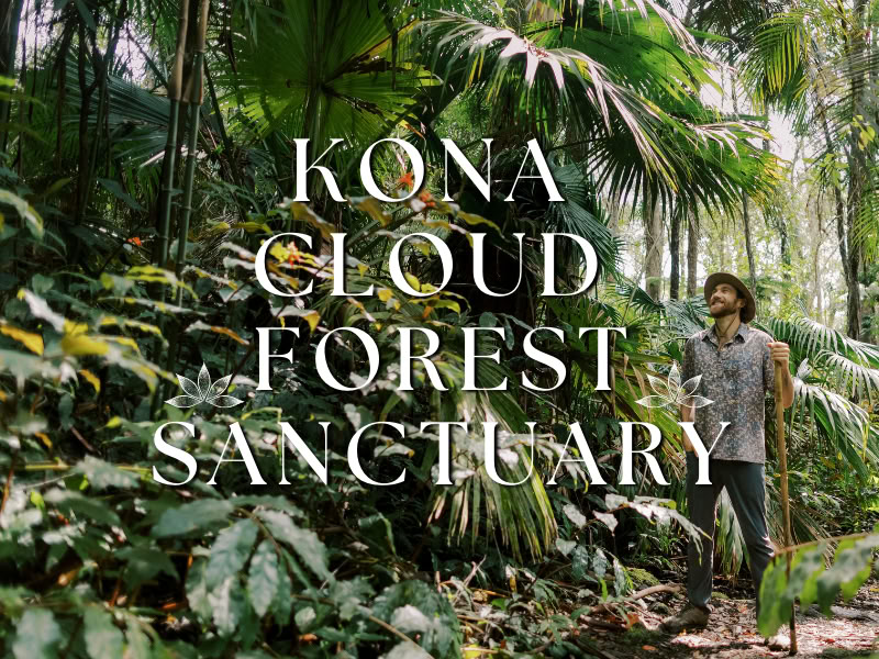 Sanctuaire de la forêt nuageuse de Kona