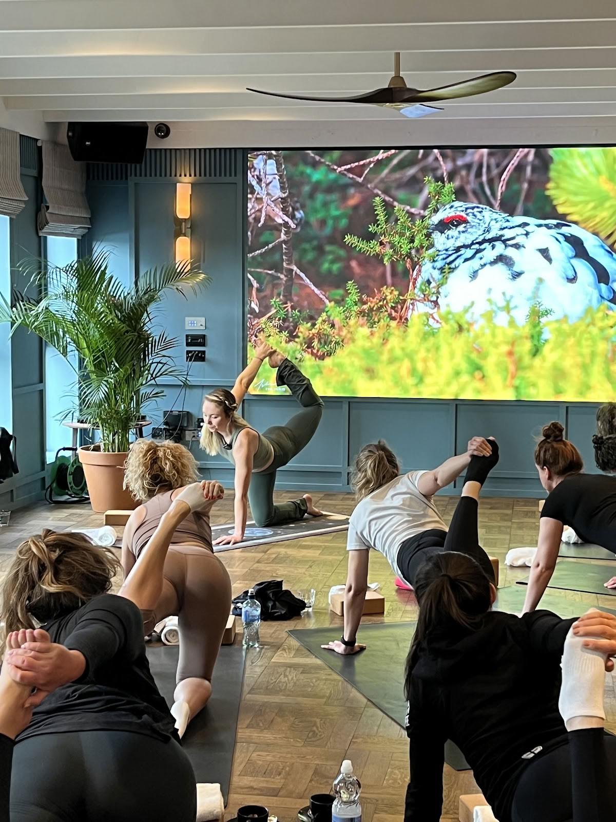 Yoga de Lauren Marples