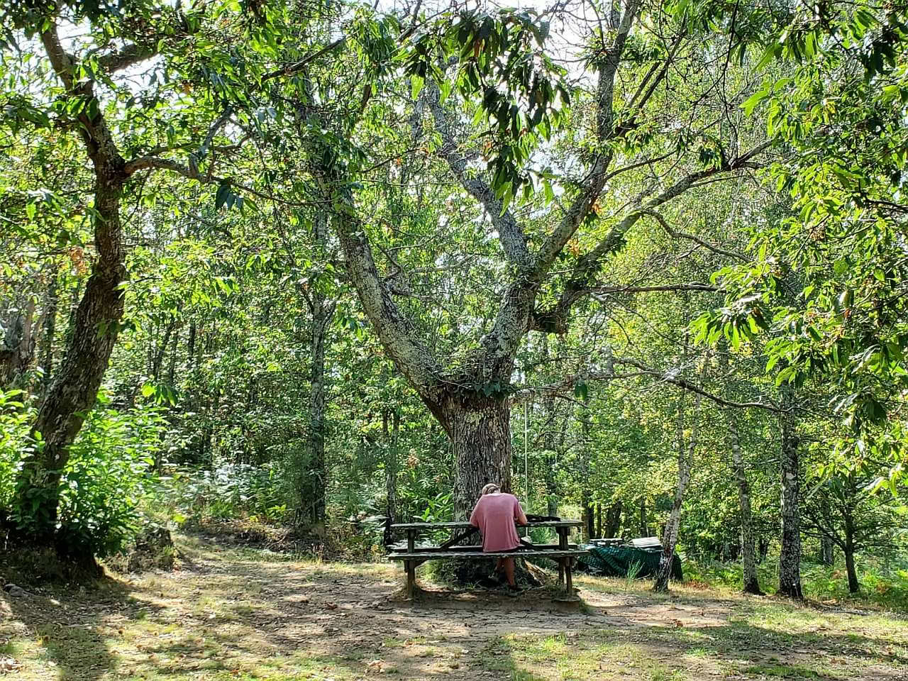 Amour, évolution, éveil à Mahadevi Ashram