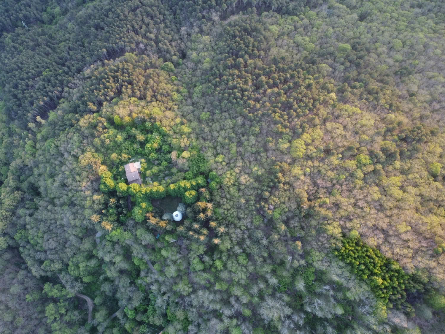 Amour, évolution, éveil à Mahadevi Ashram