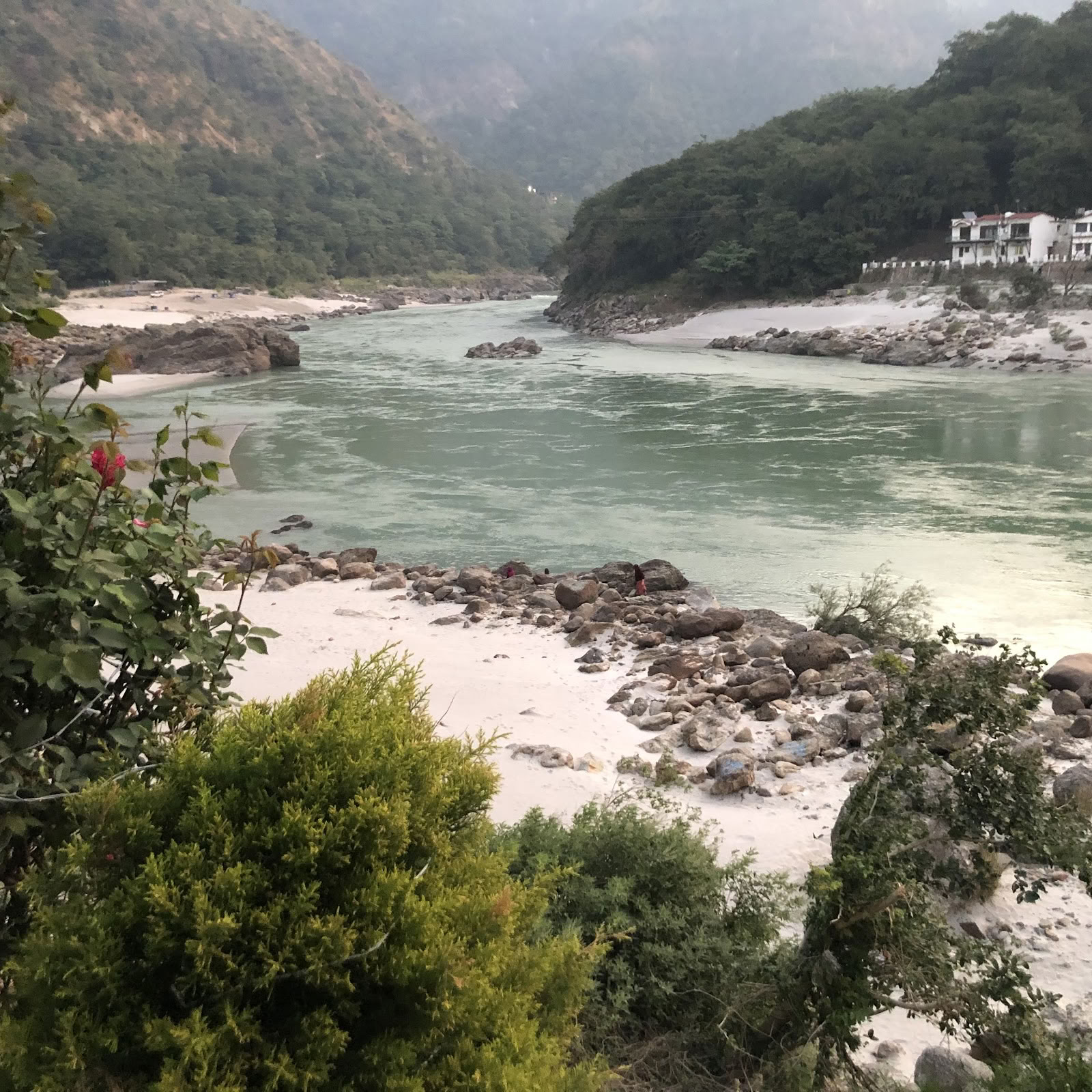 Un institut de yogi himalayen à Rishikesh