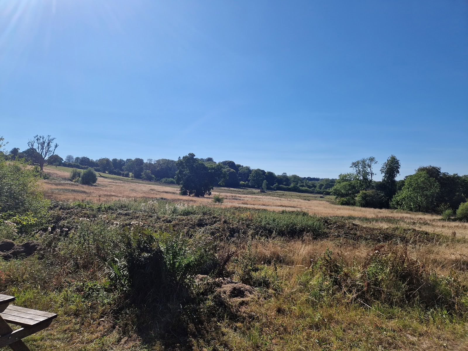 Les étangs d’Oakhill