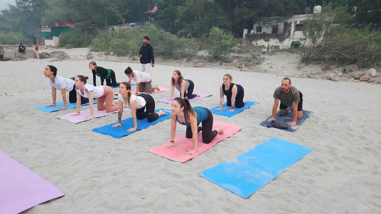 Sri Yoga Ashram | Organisme de formation pour professeurs de yoga à Rishikesh