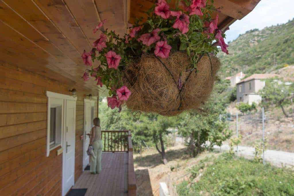 Ktima Noosfera Centre de bien-être et de retraite