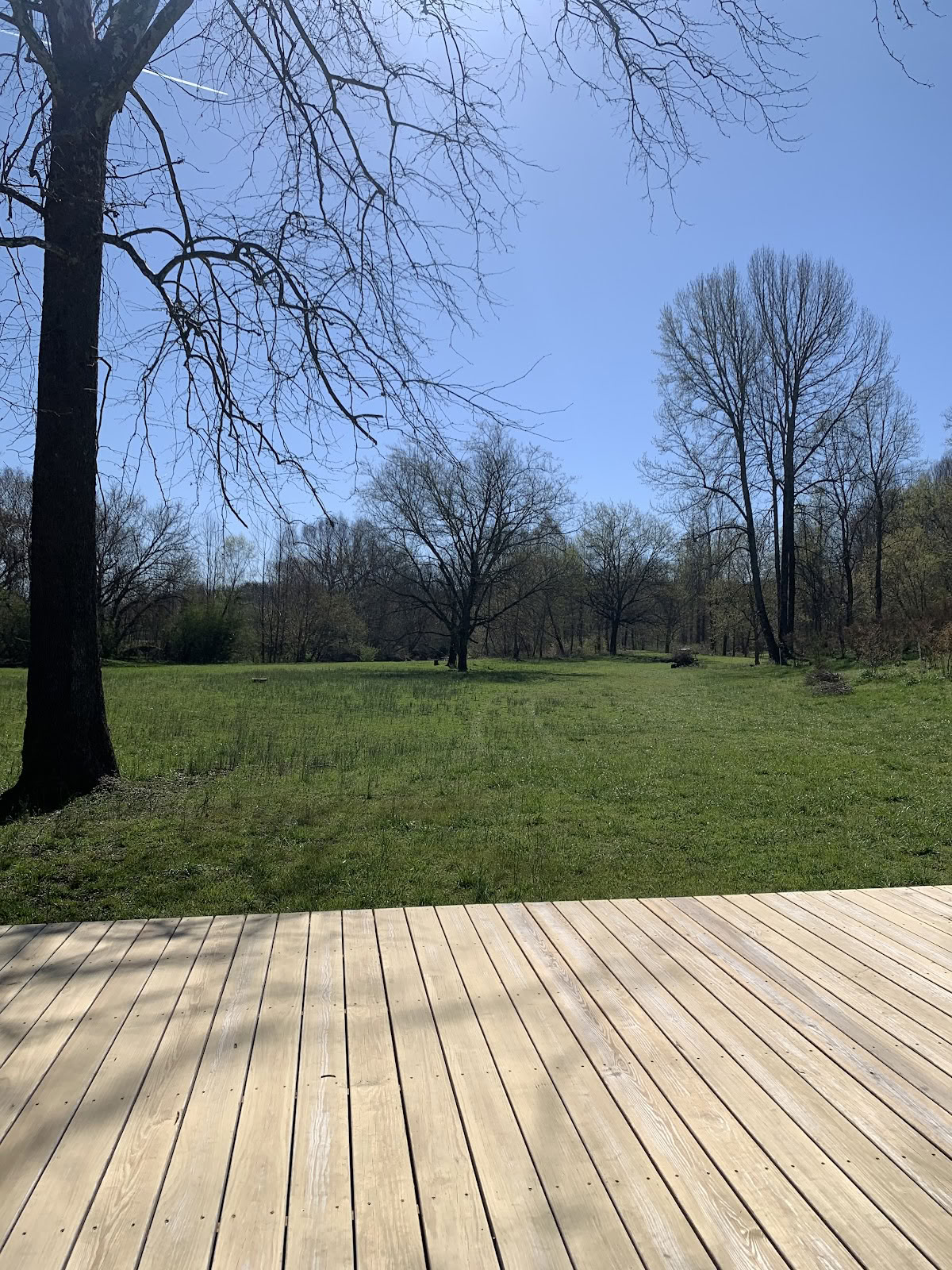 Yoga sur la prairie